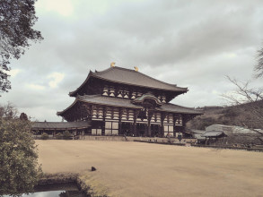 Visiting Nara