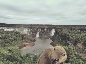 Visiting Iguazú